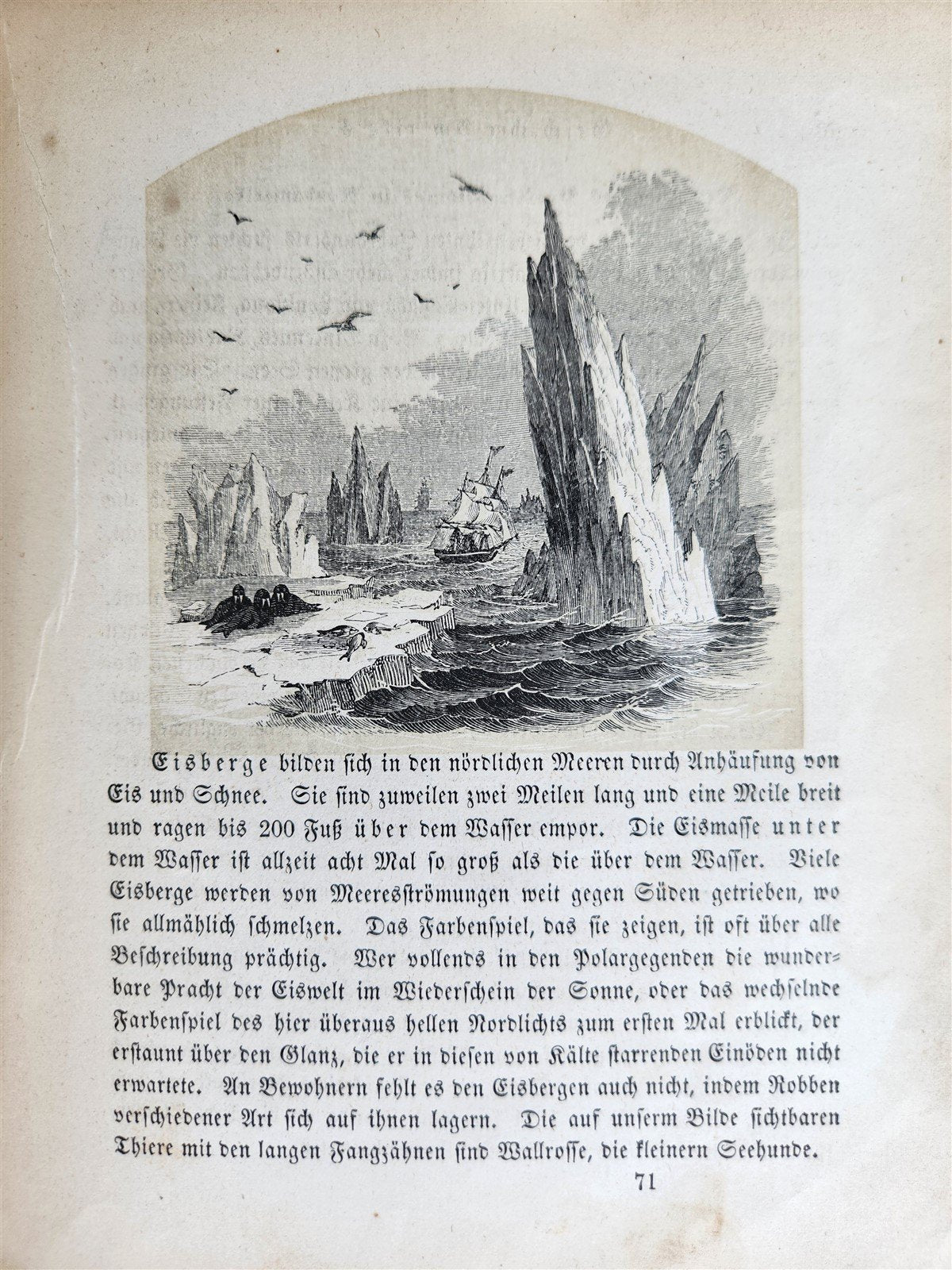 1866 PICTURES from HISTORY of AMERICA antique BILDER AUS DER GESCHICHTE AMERIKAS