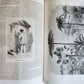 1865 HISTORY of VOYAGES ILLUSTRATED antique Russia Africa New Zealand S. America