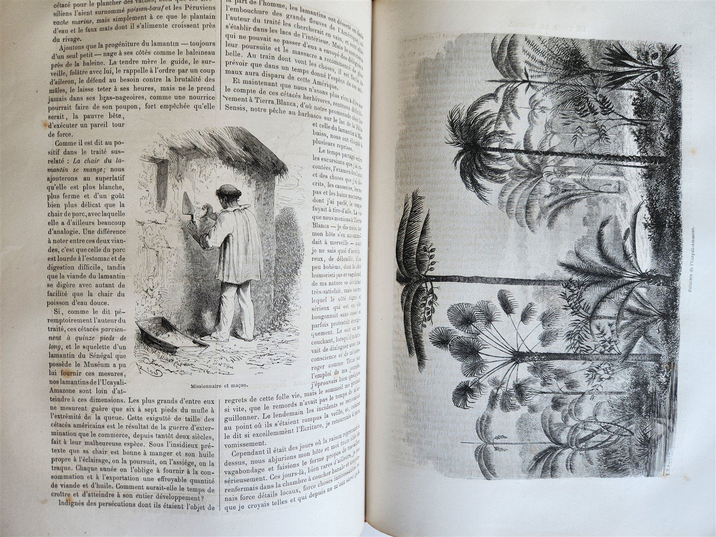 1865 HISTORY of VOYAGES ILLUSTRATED antique Russia Africa New Zealand S. America