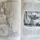 1866 HISTORY of VOYAGES ILLUSTRATED antique JAPAN & SOUTH AMERICA TRAVELS