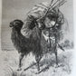 1864 HISTORY of VOYAGES ILLUSTRATED antique CHINA INDIA JAVA SOUTH AMERICA etc.