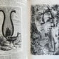 1861 HISTORY of VOYAGES ILLUSTRATED antique USA CANADA SENEGAL AUSTRALIA TRAVELS