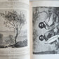 1861 HISTORY of VOYAGES ILLUSTRATED antique USA CANADA SENEGAL AUSTRALIA TRAVELS