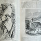 1861 HISTORY of VOYAGES ILLUSTRATED antique USA CANADA SENEGAL AUSTRALIA TRAVELS