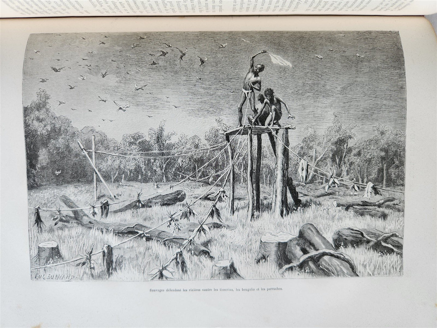 1880 HISTORY of VOYAGES ILLUSTRATED antique SYRIA AUSTRALIA LAOS VIETNAM PANAMA