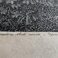 c.1820 DIANA AWAKENED BY THE NYMPHS LARGE ENGRAVING antique 20 3/4 by 29 inches