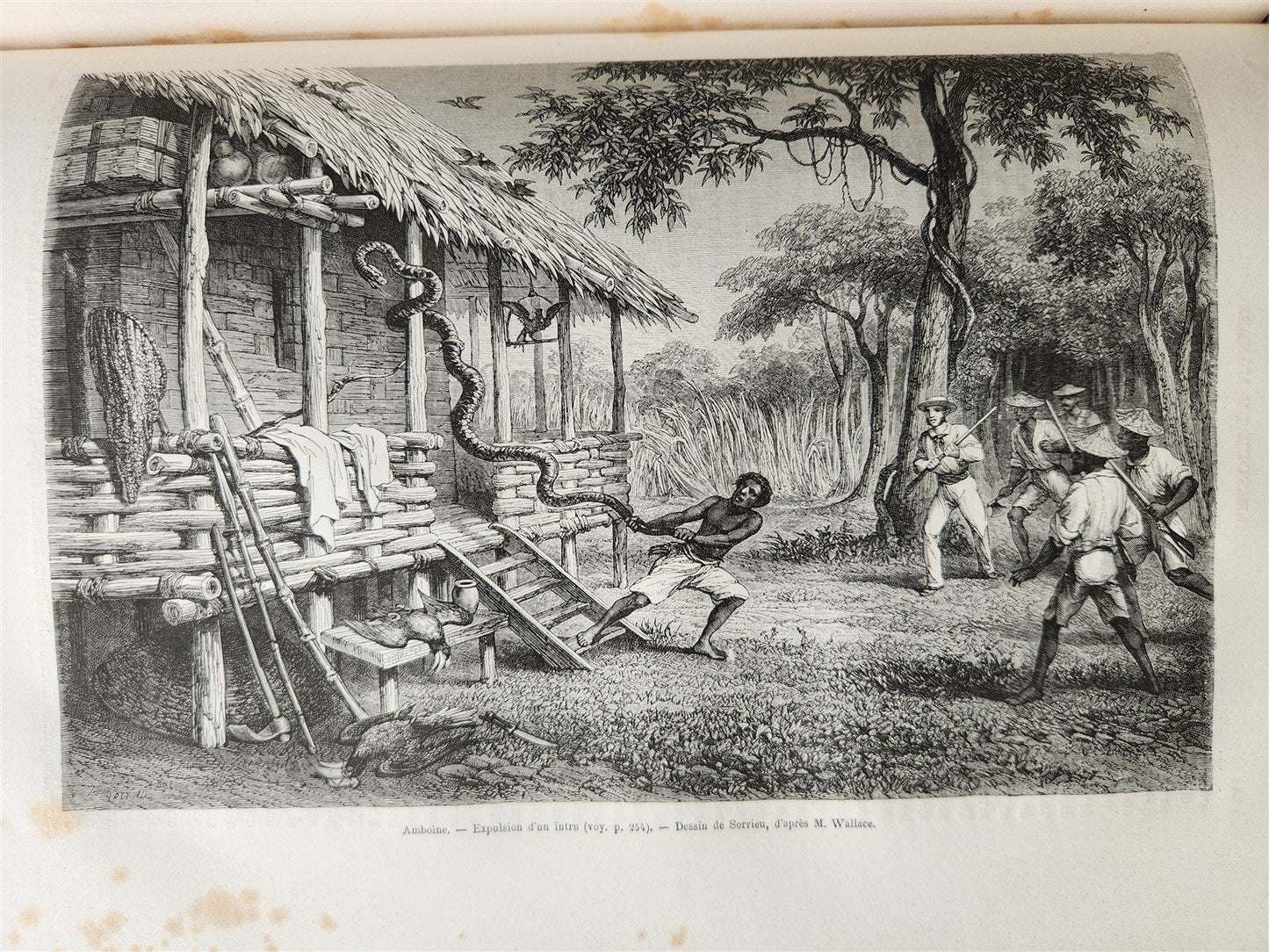 1872 HISTORY VOYAGES ILLUSTRATED antique AFRICA RUSSIA INDIA SUMATRA INDO-CHINA