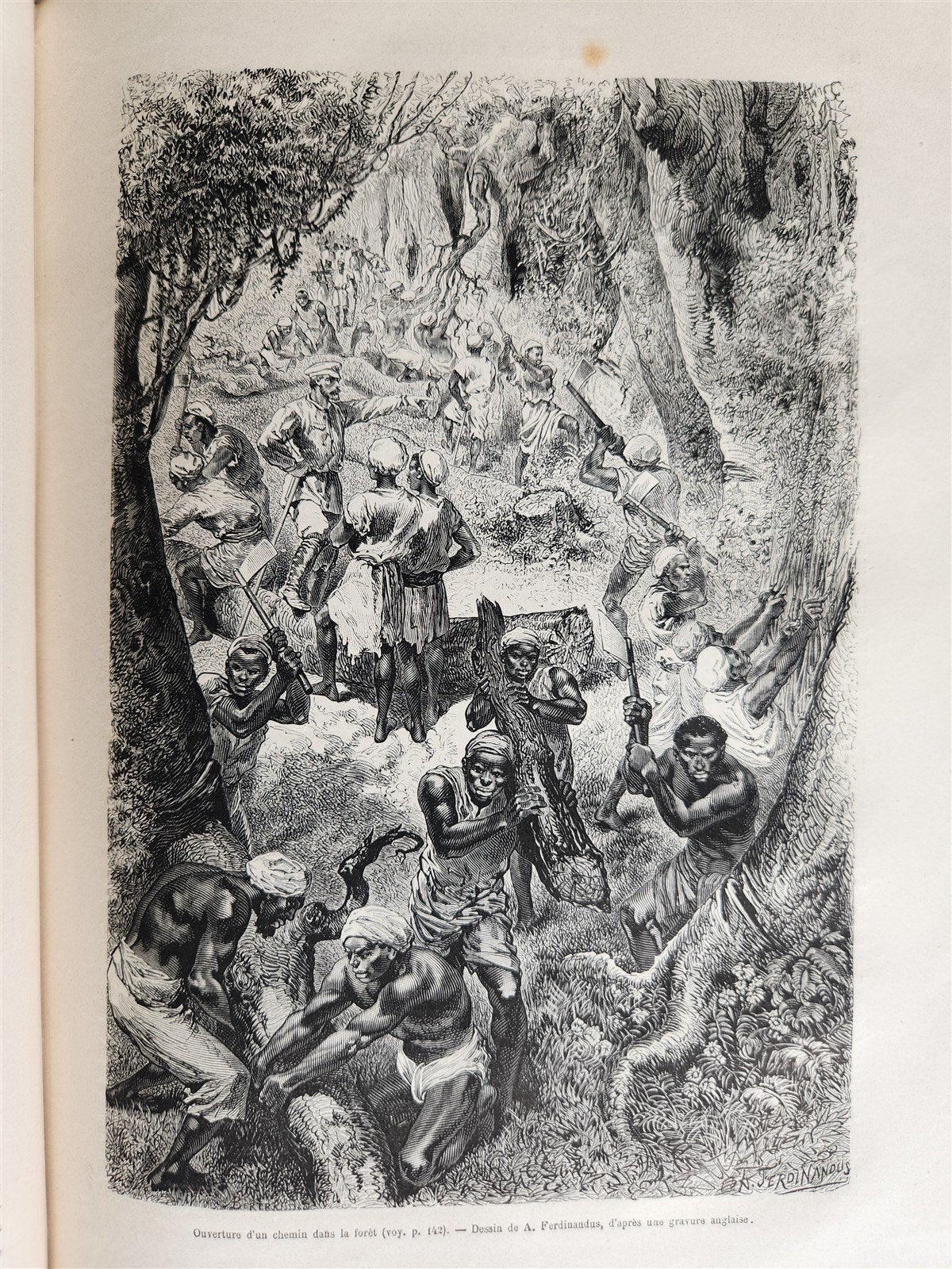 1878 HISTORY of VOYAGES ILLUSTRATED antique AFRICA CHILE NORTH POLE GREECE