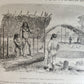 1881 HISTORY VOYAGES ILLUSTRATED antique CAUCASUS BELGIUM AFRICA FRENCH GUIANA