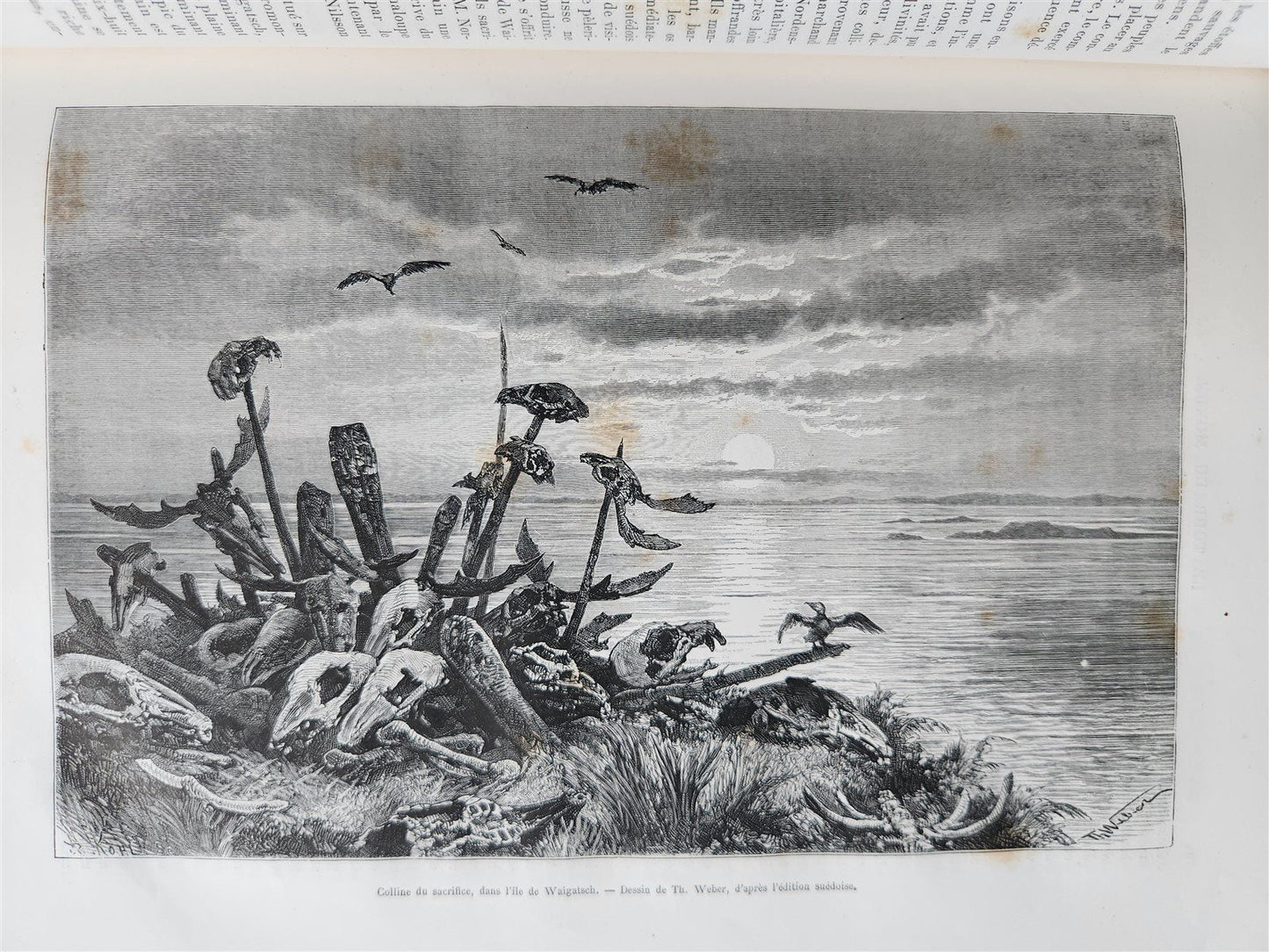 1882 HISTORY of VOYAGES ILLUSTRATED antique CAUCASUS VENEZUELA SYRIA BELGIUM