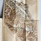 1901 IN THE ICE WORLD of HIMALAYA antique ILLUSTRATED w/ MAPS