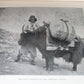 1901 IN THE ICE WORLD of HIMALAYA antique ILLUSTRATED w/ MAPS