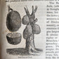1839 TRAVELS SOUTHEAST ASIA antique ILLUSTRATED Hindustan Malaya Siam China