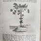 1839 TRAVELS SOUTHEAST ASIA antique ILLUSTRATED Hindustan Malaya Siam China