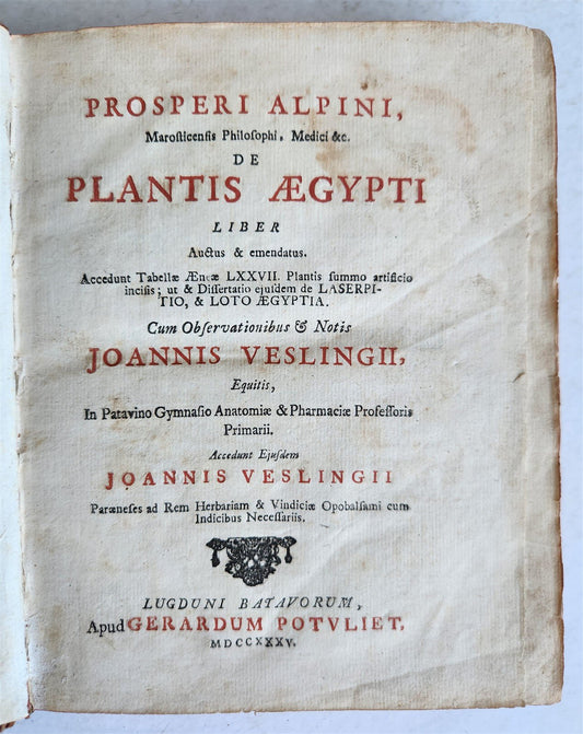 1735 ILLUSTRATED PHARMACOLOGY WORK PLANTS of EGYPT antique De plantis Aegypti
