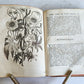 1735 ILLUSTRATED PHARMACOLOGY WORK PLANTS of EGYPT antique De plantis Aegypti