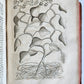 1735 ILLUSTRATED PHARMACOLOGY WORK PLANTS of EGYPT antique De plantis Aegypti