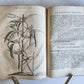 1735 ILLUSTRATED PHARMACOLOGY WORK PLANTS of EGYPT antique De plantis Aegypti
