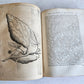 1735 ILLUSTRATED PHARMACOLOGY WORK PLANTS of EGYPT antique De plantis Aegypti