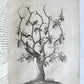 1735 ILLUSTRATED PHARMACOLOGY WORK PLANTS of EGYPT antique De plantis Aegypti