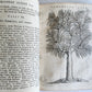 1735 ILLUSTRATED PHARMACOLOGY WORK PLANTS of EGYPT antique De plantis Aegypti