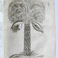 1735 ILLUSTRATED PHARMACOLOGY WORK PLANTS of EGYPT antique De plantis Aegypti
