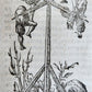1568 COSMOGRAPHY by Sebastian Munster antique RARE ILLUSTRATED w/ MAPS VELLUM