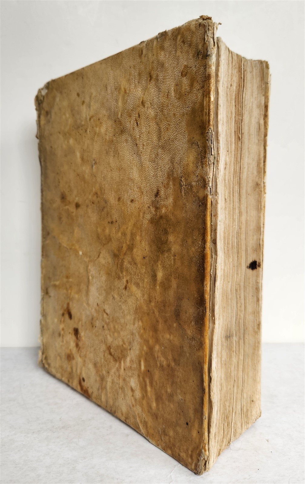 1687 DISPREGIO DELLA VANITA DEL MONDO by DIEGO STELLA antique VELLUM BOUND