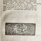 1723 THEOLOGY by D. LUDOVICO SABATINO LA LUCE EVANGELICA antique VELLUM BOUND