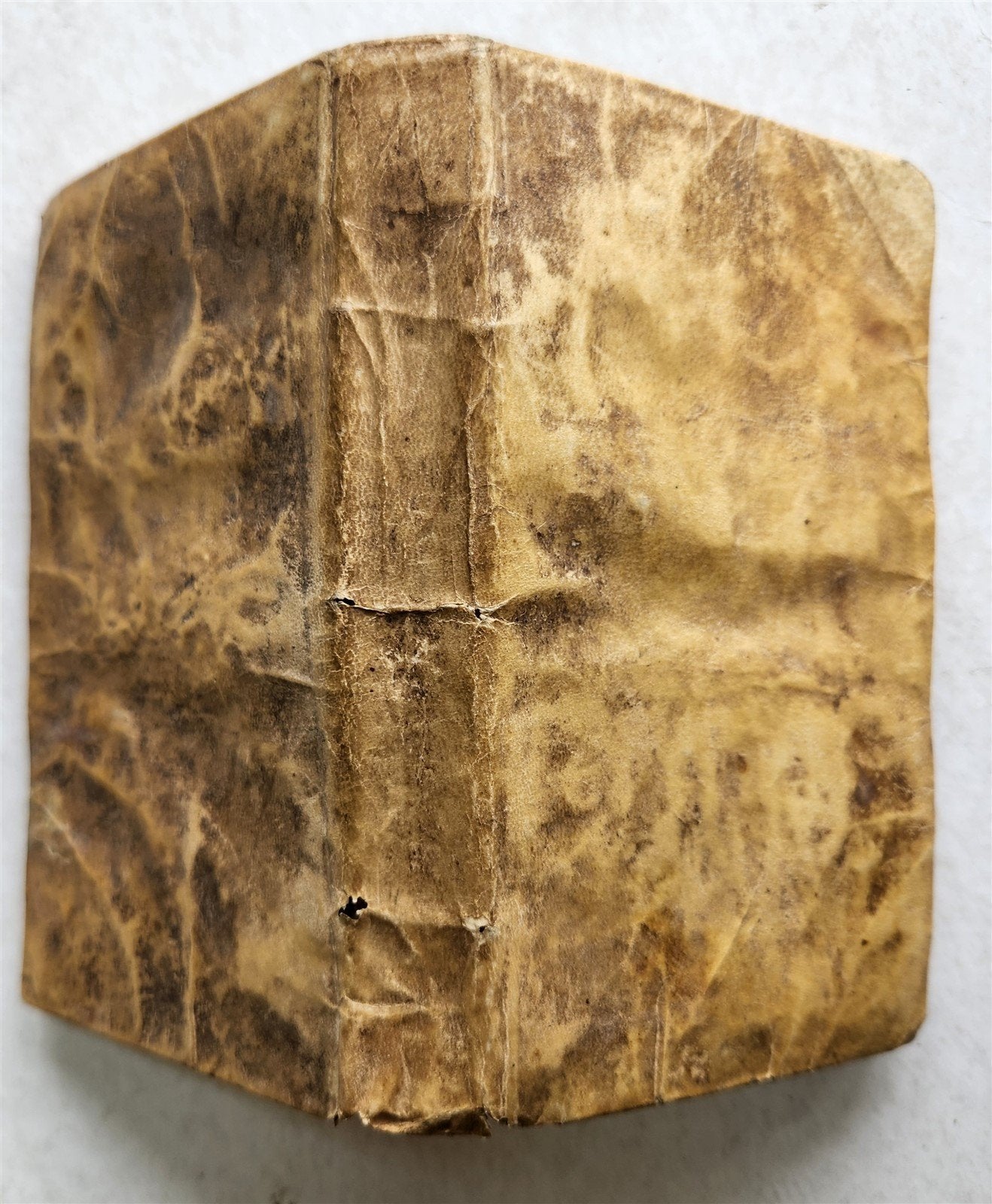 1819 DE ARTE RHETORICA by P. DOMINICO DECOLONIA antique VELLUM BOUND