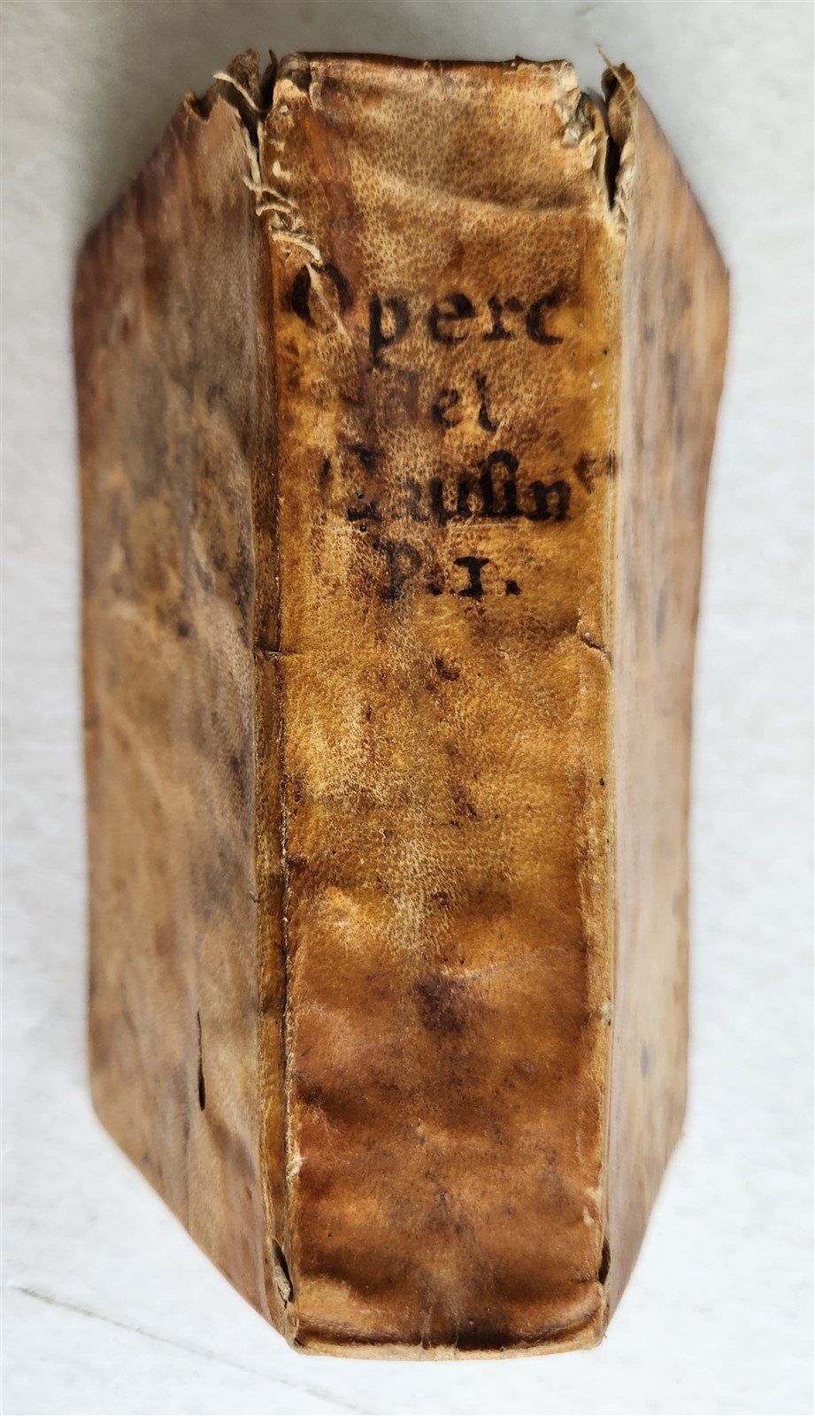 1691 LA CORTE SANTA by NICOLO CAUSINO antique VELLUM BOUND