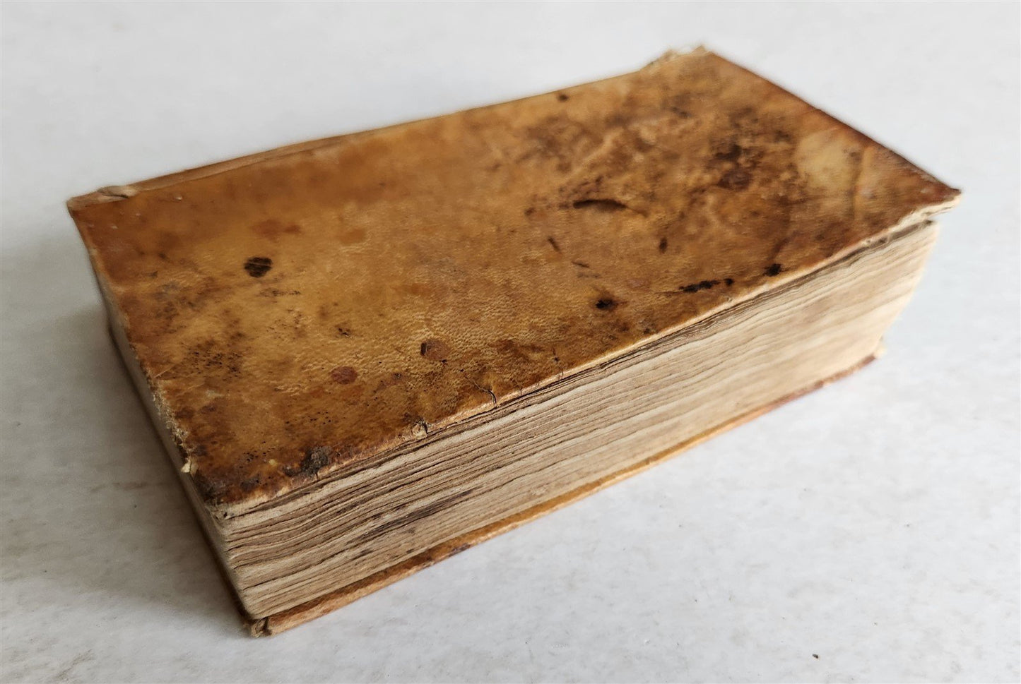 1691 LA CORTE SANTA by NICOLO CAUSINO antique VELLUM BOUND