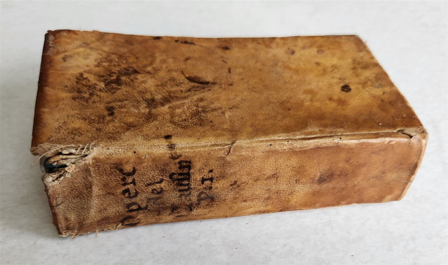 1691 LA CORTE SANTA by NICOLO CAUSINO antique VELLUM BOUND