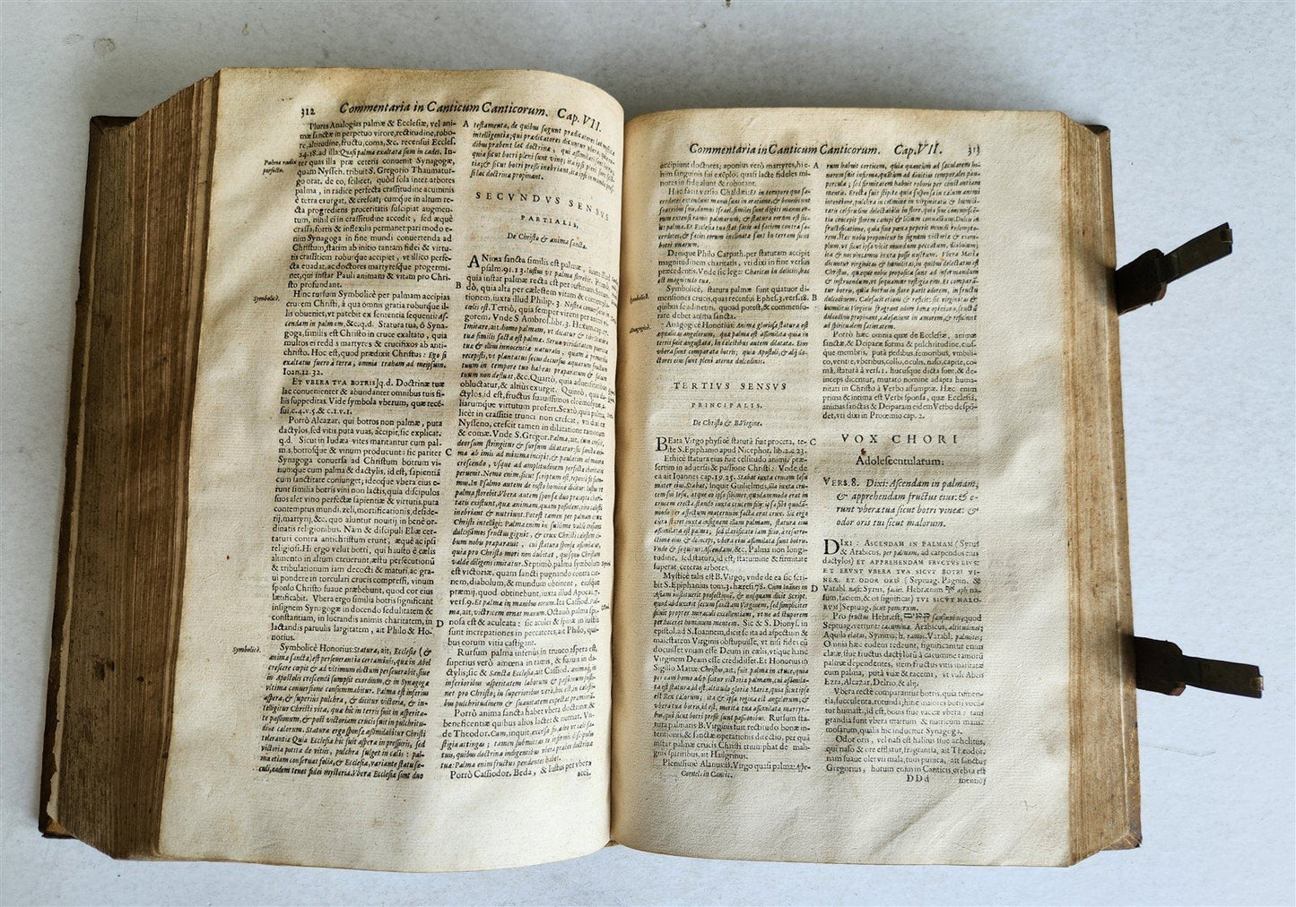 1657 Commentarii in ecclesiasten by CORNELIO LAPIDE antique PIGSKIN FOLIO