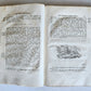 1769 FIRST INHABITANTS of ITALY by STANISLAO BARDETTI antique VELLUM BOUND