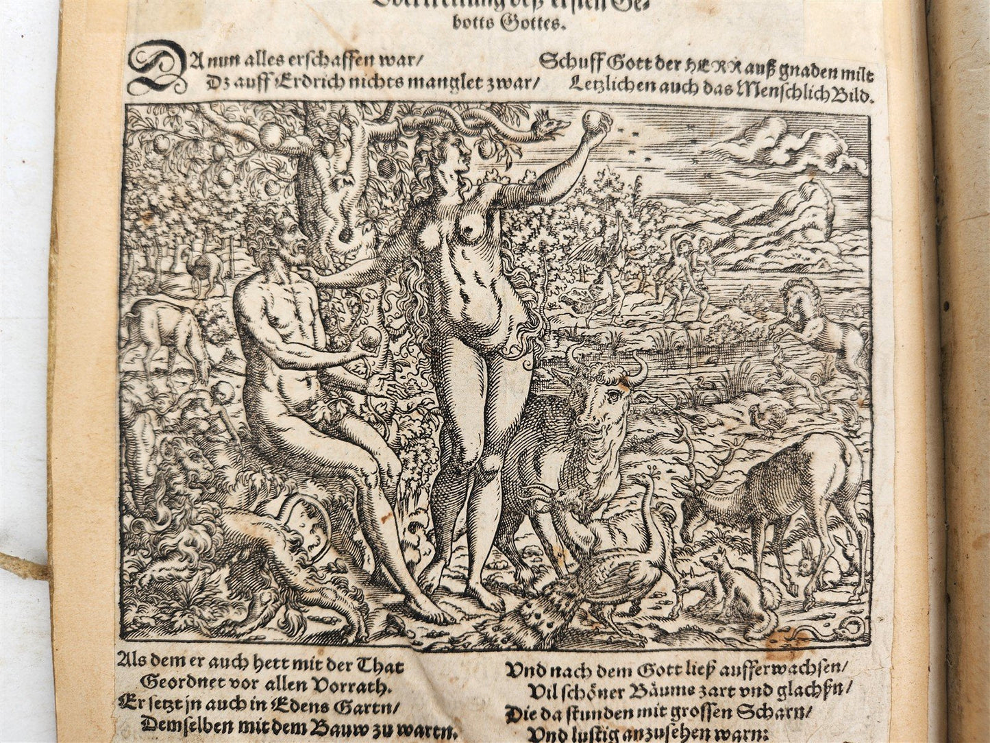 1569 PICTURE BIBLE antique ILLUSTRATED LAYMANS BIBLIA J. Amman Solis Bocksberger