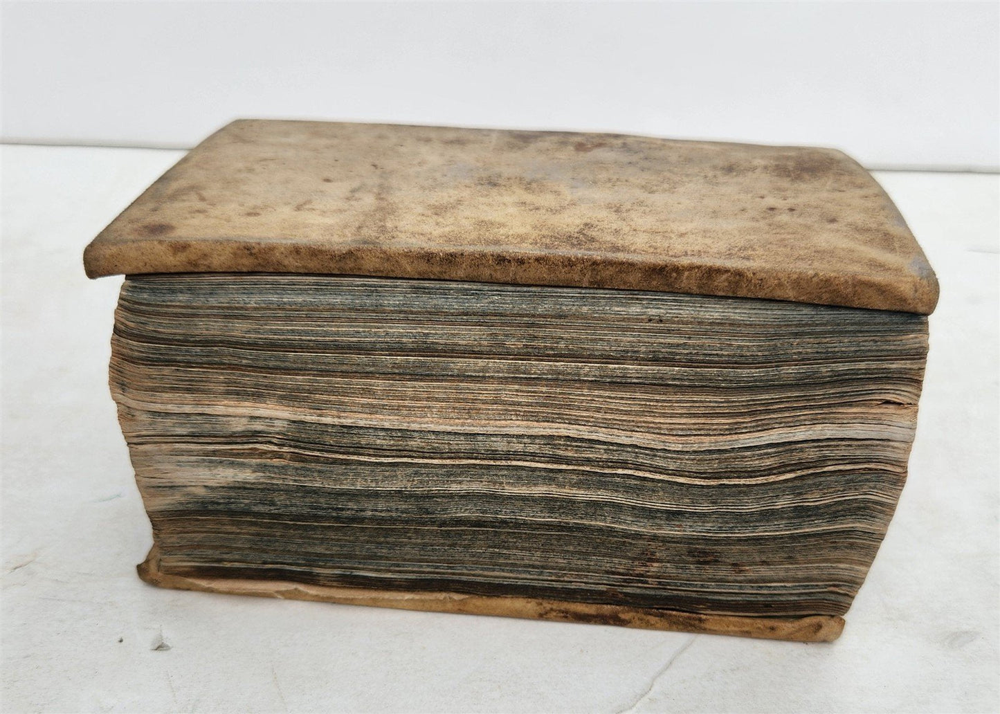 1689 ILLUSTRATED THEATRE PLAYS antique IBRAHIM SULTAN CLEOPATRA AGRIPPINA vellum