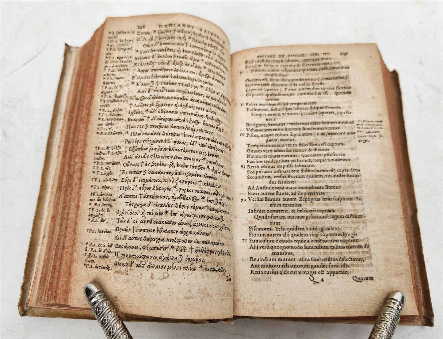 1597 POETRY on FISHING & HUNTING by OPPIAN antique VELLUM BOUND 16th CENTURY