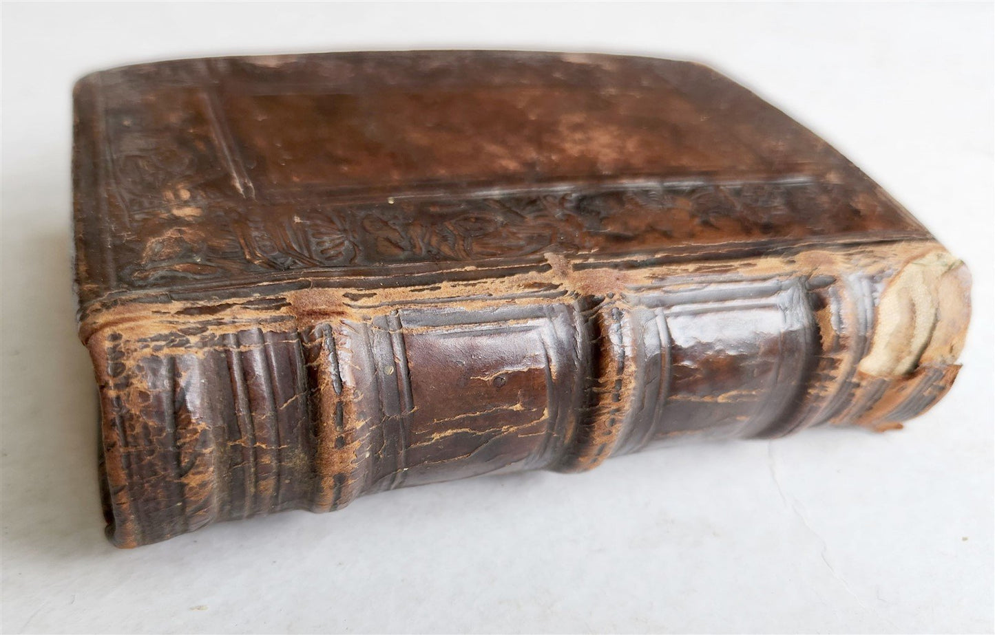 1545 VALERIUS MAXIMUS Factorum dictorumque memorabilium antique ORIGINAL BINDING