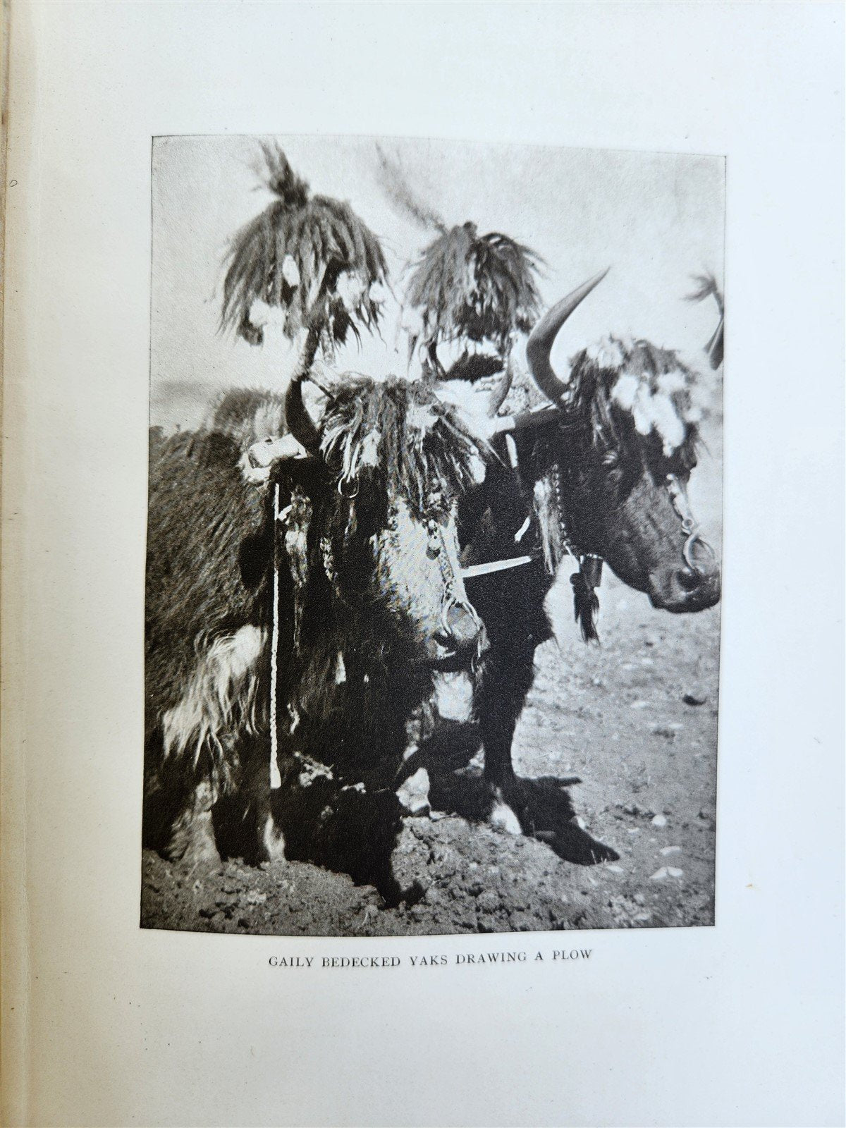 1905 OPENING of TIBET ACCOUNT OF LHASA antique by Perceval Landon ILLUSTRATED