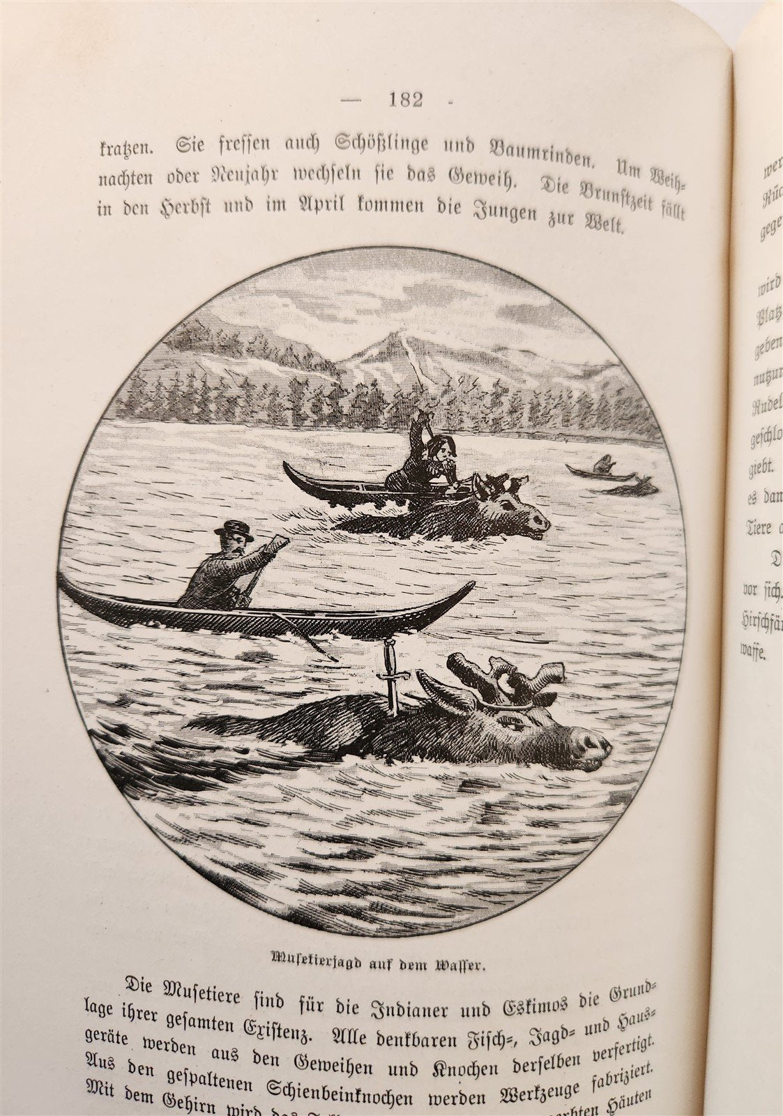 1897 Auf nach ALASKA by J. Moller antique ILLUSTRATED in GERMAN