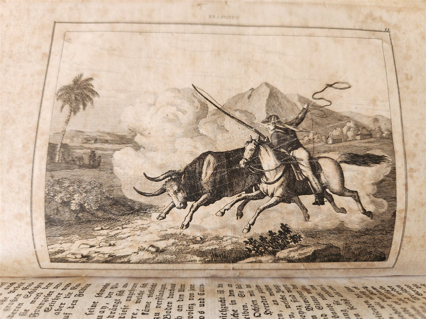 1838 BRAZIL antique ILLUSTRATED in GERMAN