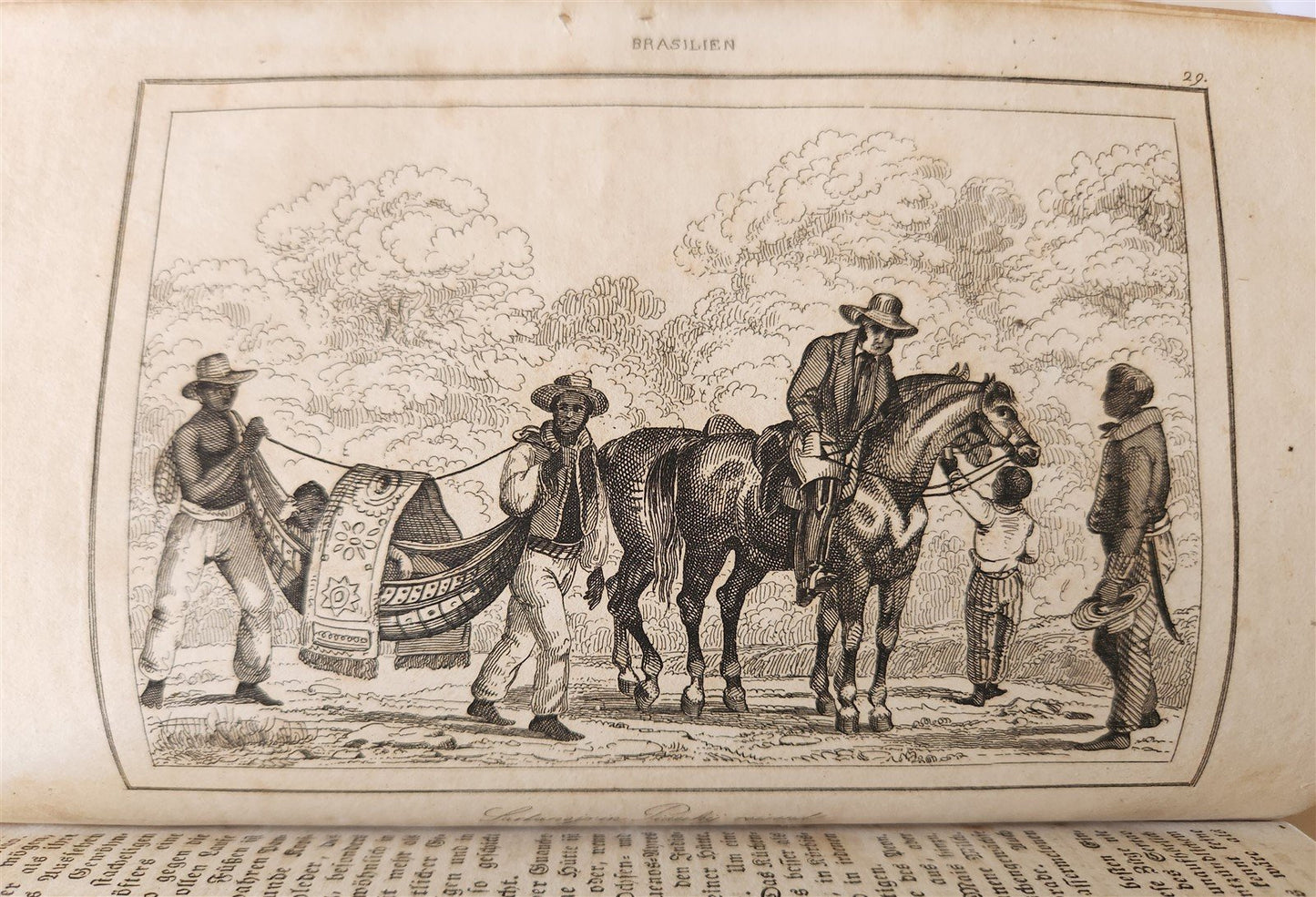 1838 BRAZIL antique ILLUSTRATED in GERMAN