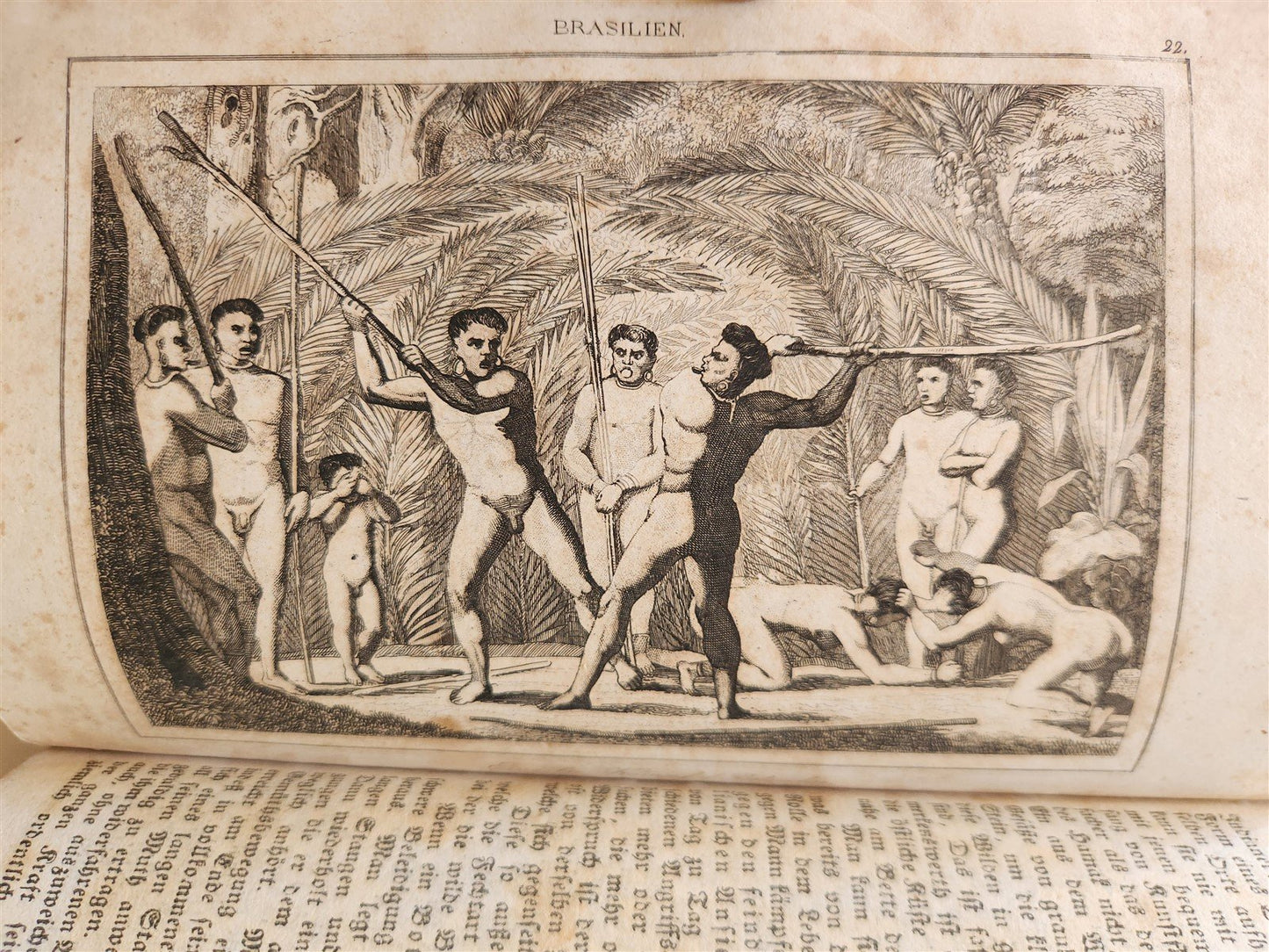 1838 BRAZIL antique ILLUSTRATED in GERMAN
