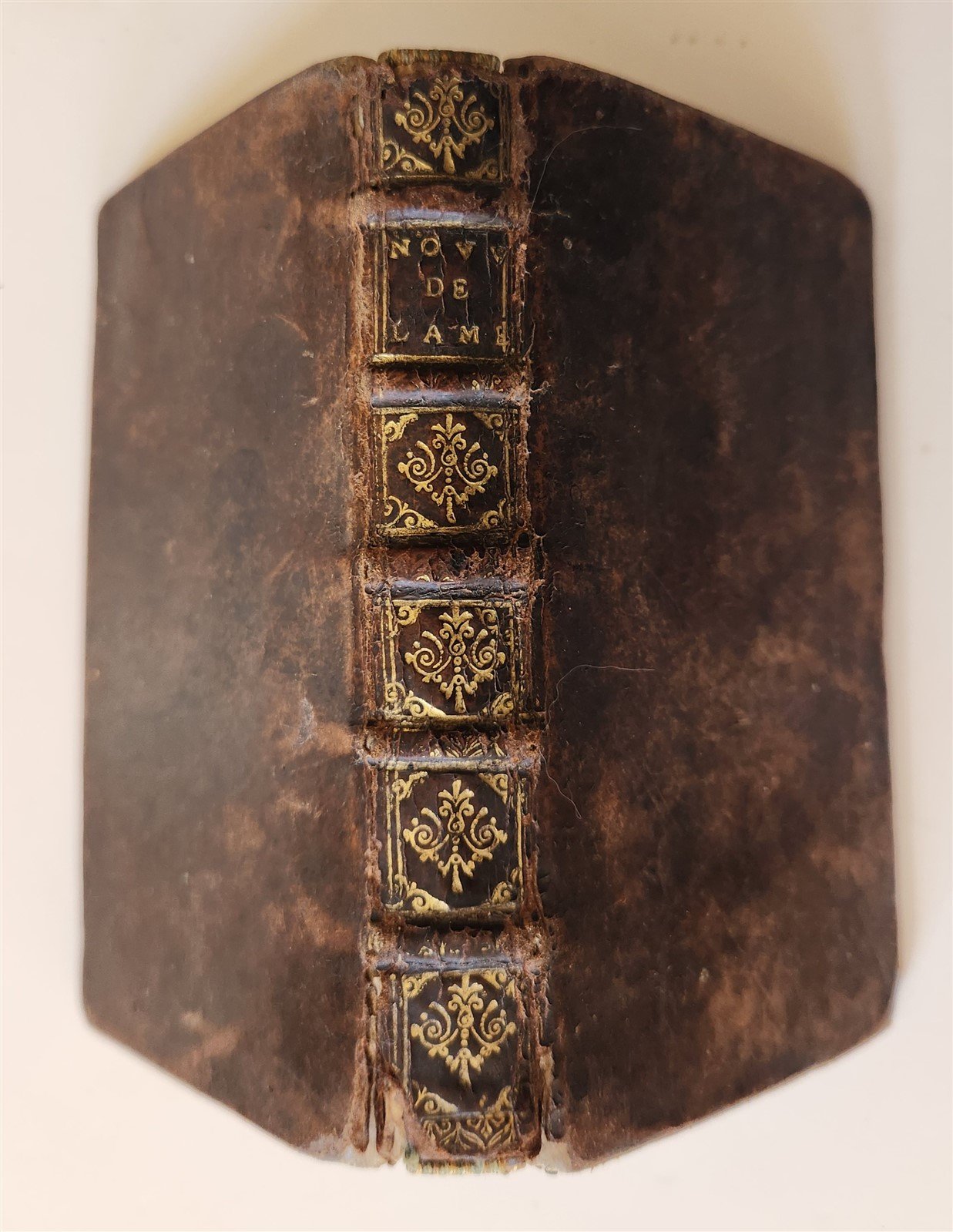 1678 PIRACY BOOK Pirate Alexandre EXQUEMALIN antique Nouvelles de l'Amerique