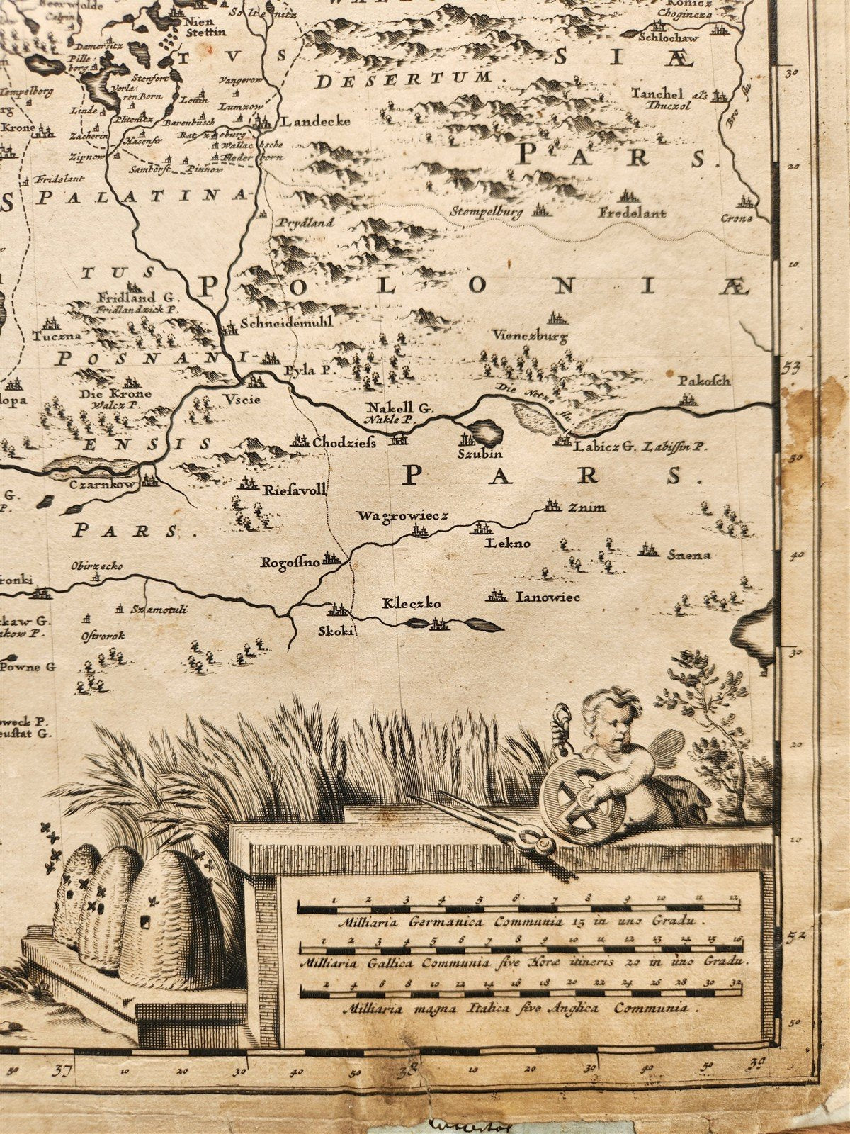 1688 GERMANY antique MAP Brandenburg and Pomerania by F. de WIT