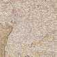 1793 FRENCH GERMAN WAR MILITARY MAP antique