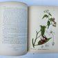 1892 MEDICINAL PLANTS 2 VOLUMES ILLUSTRATED FOLIOS antique by CHARLES MILLSPAUGH