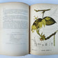 1892 MEDICINAL PLANTS 2 VOLUMES ILLUSTRATED FOLIOS antique by CHARLES MILLSPAUGH