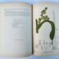 1892 MEDICINAL PLANTS 2 VOLUMES ILLUSTRATED FOLIOS antique by CHARLES MILLSPAUGH